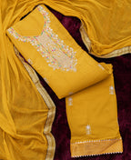 Fiyona Allover with Beutiful Embroidery Work Additional Sarvoski Work